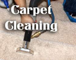 carpet cleaning in dallas and texas